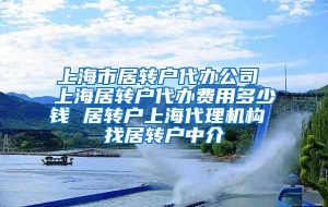 上海市居转户代办公司 上海居转户代办费用多少钱 居转户上海代理机构 找居转户中介