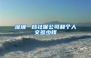 深圳一档社保公司和个人交多少钱