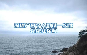 深圳户口个人可以一次性补缴社保吗