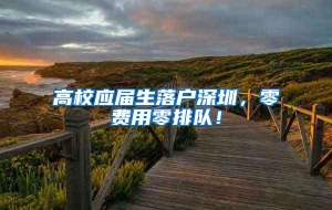 高校应届生落户深圳，零费用零排队！