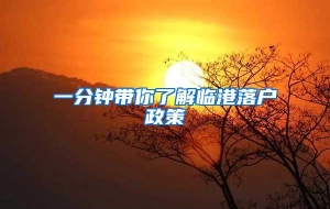一分钟带你了解临港落户政策