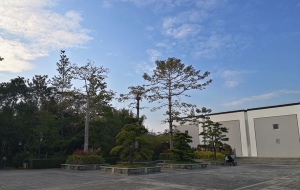 关于成人大专能不能入深圳户口的公开信息