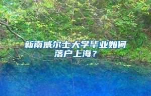 新南威尔士大学毕业如何落户上海？