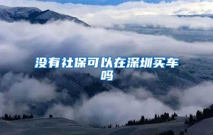 没有社保可以在深圳买车吗