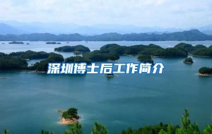 深圳博士后工作简介