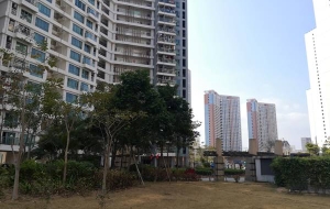 关于2022年深圳市核准入户的核心要点梳理