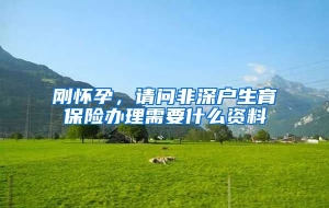 刚怀孕，请问非深户生育保险办理需要什么资料