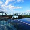 社保入深圳户口是怎么积分的