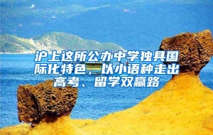 沪上这所公办中学独具国际化特色，以小语种走出高考、留学双赢路