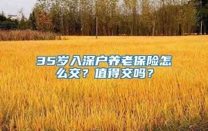 35岁入深户养老保险怎么交？值得交吗？