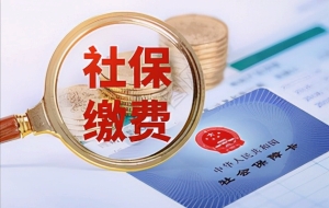 社保缴费一档二档三档有哪些区别？