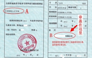急！应届生签工作，公司不接受档案 ，但是报到证已经发出来了，该怎么办？档案应该去哪里？