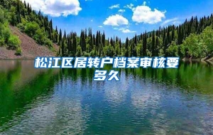 松江区居转户档案审核要多久