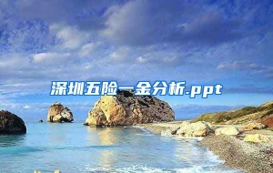 深圳五险一金分析.ppt