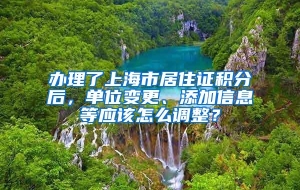 办理了上海市居住证积分后，单位变更、添加信息等应该怎么调整？