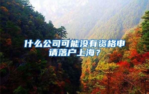 什么公司可能没有资格申请落户上海？