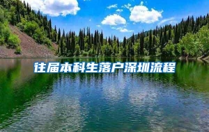 往届本科生落户深圳流程