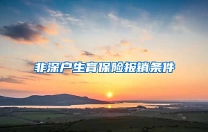 非深户生育保险报销条件