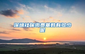 深圳社保缴费基数有多少呢