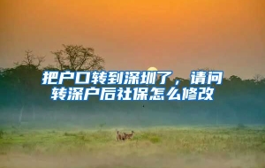 把户口转到深圳了，请问转深户后社保怎么修改