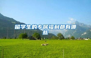 留学生的专属福利都有哪些