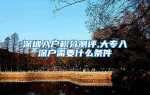深圳入户积分测评,大专入深户需要什么条件