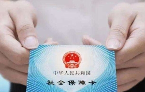 深圳本科生入户社保(深圳入户申请网站官网)