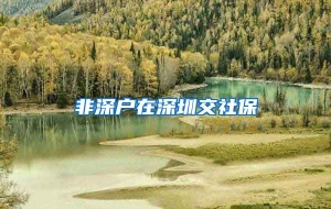 非深户在深圳交社保