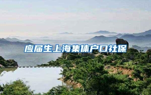 应届生上海集体户口社保