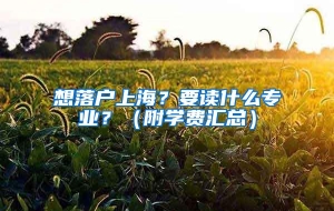 想落户上海？要读什么专业？（附学费汇总）