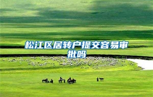 松江区居转户提交容易审批吗