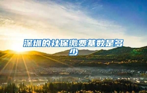 深圳的社保缴费基数是多少