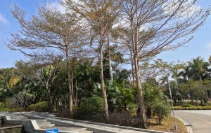 三个步骤教你如何应对非应届本科生落户深圳