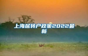 上海居转户政策2022最新