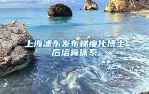 上海浦东发布梯度化博士后培育体系