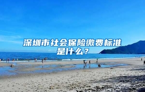 深圳市社会保险缴费标准是什么？