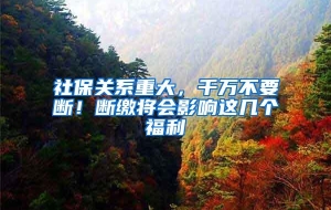 社保关系重大，千万不要断！断缴将会影响这几个福利