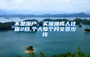 不是深户，买深圳成人社保2档,个人每个月交多少钱
