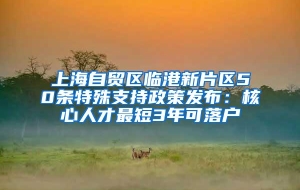 上海自贸区临港新片区50条特殊支持政策发布：核心人才最短3年可落户