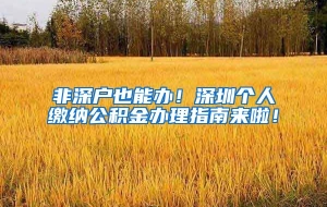 非深户也能办！深圳个人缴纳公积金办理指南来啦！
