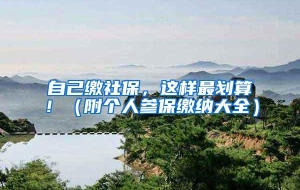 自己缴社保，这样最划算！（附个人参保缴纳大全）