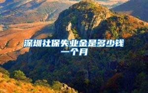 深圳社保失业金是多少钱一个月
